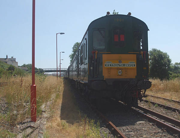 [PHOTO: Train in grassy siding: 41kB]